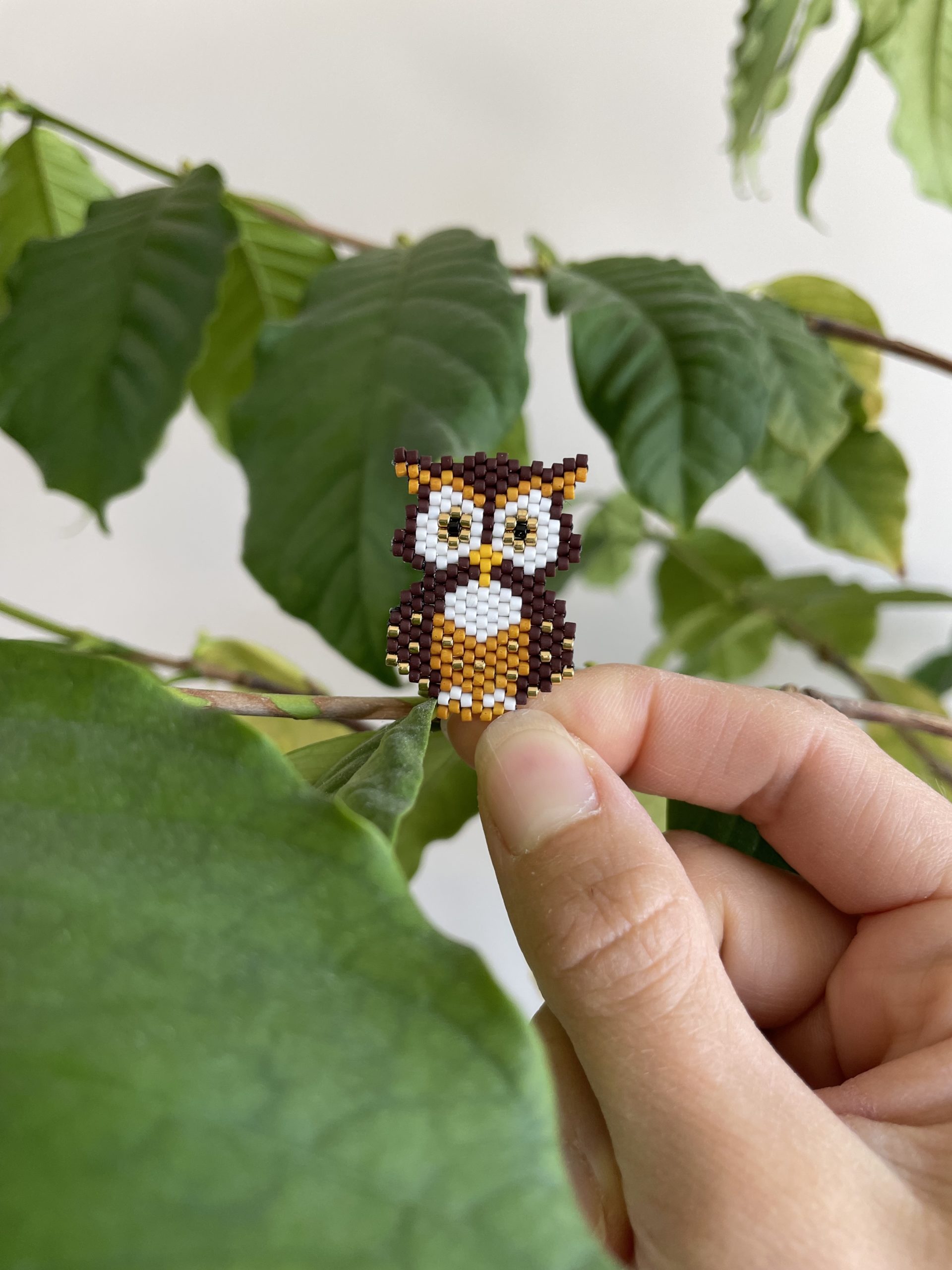 Broche-Hibou
