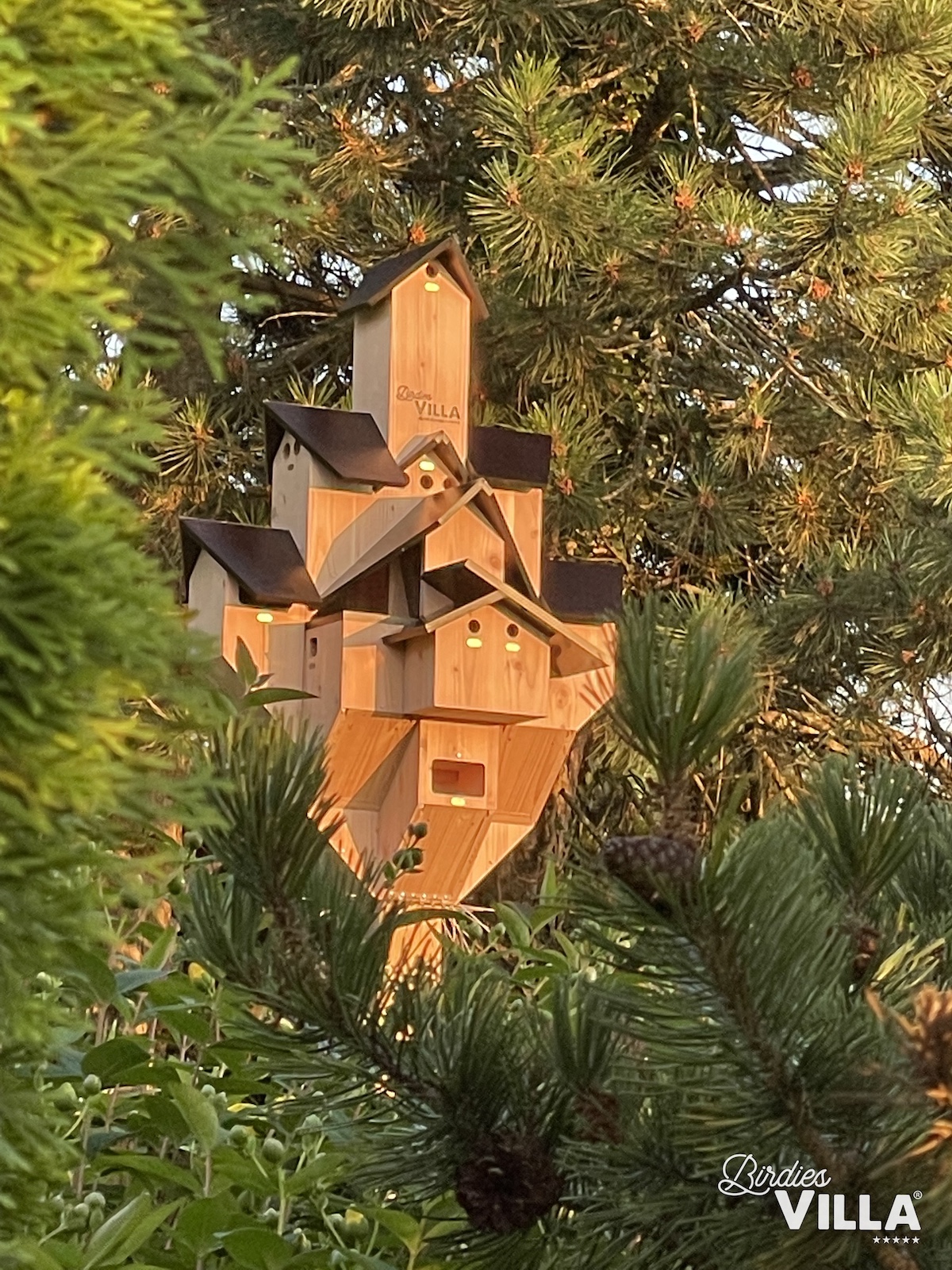 Birdies-Villa-Camarguaise-7